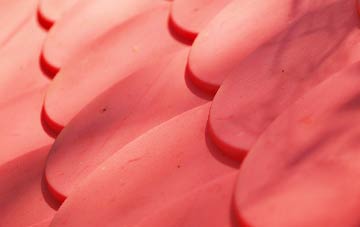 Cruckton plastic roof costs